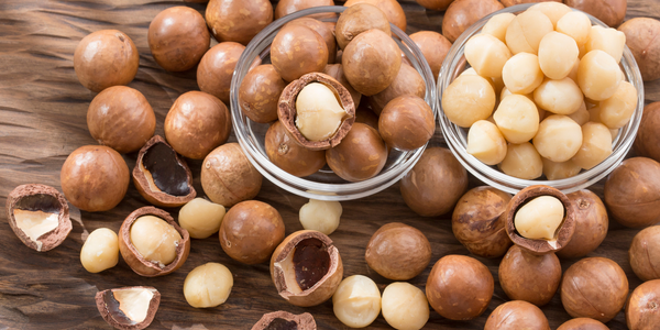 Hạt Mắc ca Đăk Lăk