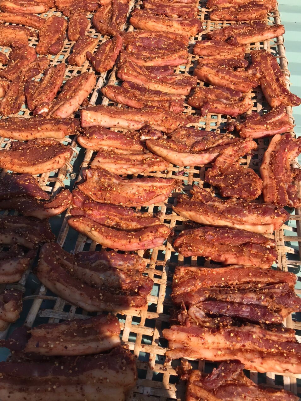 Heo Rừng Một Nắng